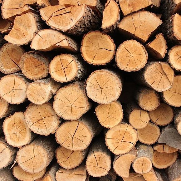 logo vente de bois de chauffage en Sarthe